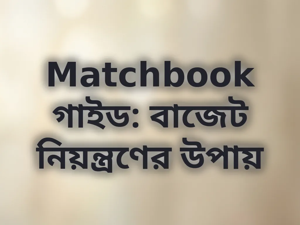 বাজেট নিয়ন্ত্রণের উপায়